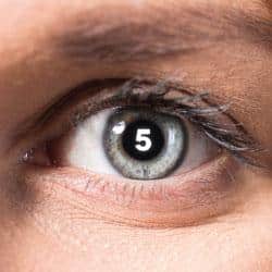 5-Common-Conditions-That-Impact-the-Cornea (1)