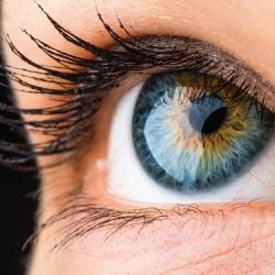 Is-Great-Eyesight-All-About-Genetics (1)