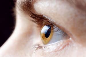 Side profile of a clear cornea following corneal transplant recovery