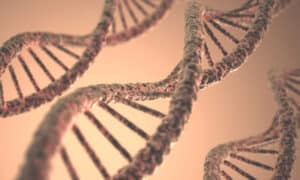 DNA structure highlighting genetic link in Fuchs corneal dystrophy research