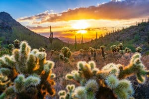 LASIK in Phoenix — desert sunset landscape near Phoenix, Arizona