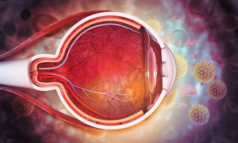 cornea conditions -Cross-section of the eye showing corneal layers to explain cornea conditions.