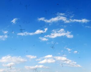 photograph of small squiggly “floaters” against a bright sky representing causes of blurry vision